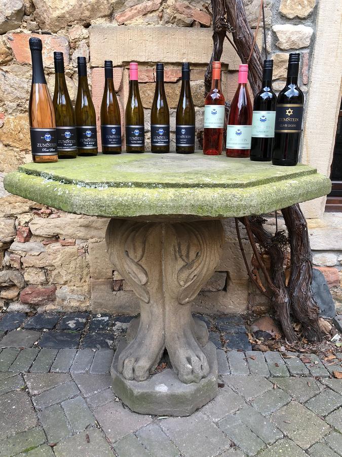 Отель Weingut Zumstein Бад-Дюркхайм Экстерьер фото